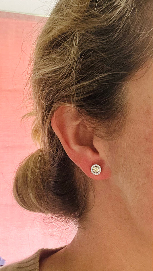 Yellow diamond studs surrounded by brilliant cut diamonds set in 14k white gold