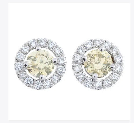Yellow diamond studs surrounded by brilliant cut diamonds set in 14k white gold